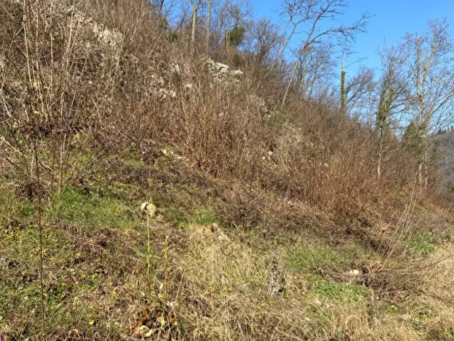 Immagine 8 di Rustico / casale in vendita  a Arcugnano