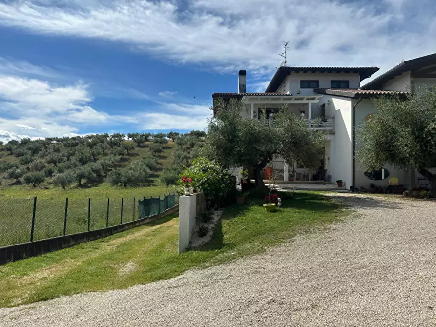 Immagine 3 di Casa indipendente in vendita  a Elice