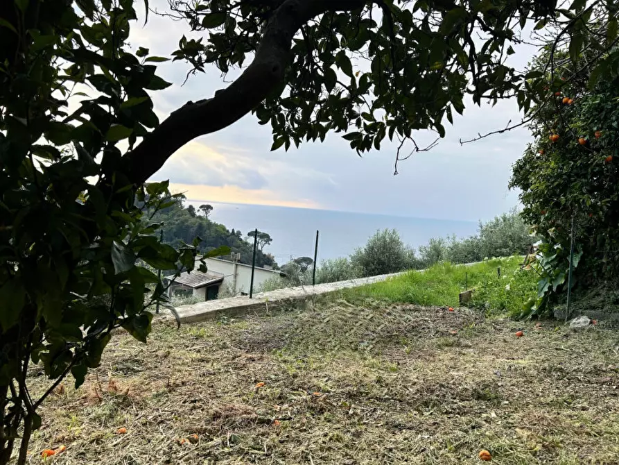 Immagine 5 di Appartamento in vendita  in Via di Mezzo a Camogli