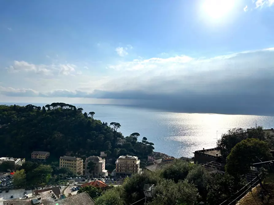 Immagine 12 di Appartamento in vendita  in Via di Mezzo a Camogli