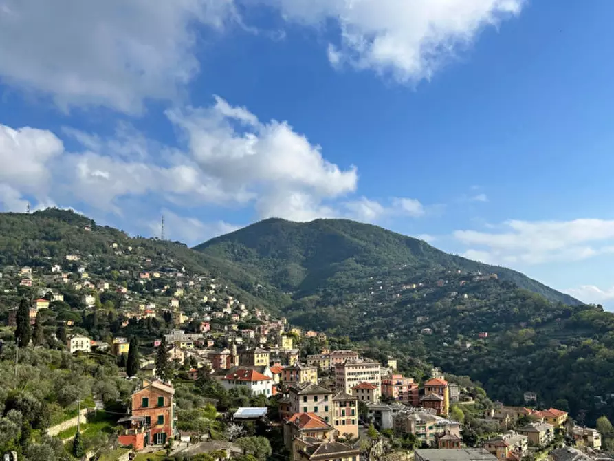Immagine 16 di Appartamento in vendita  in Via di Mezzo a Camogli