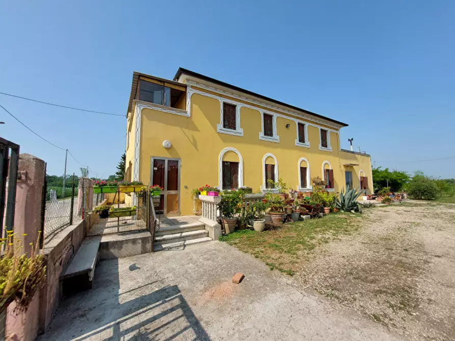 Immagine 2 di Casa indipendente in vendita  a Badia Polesine