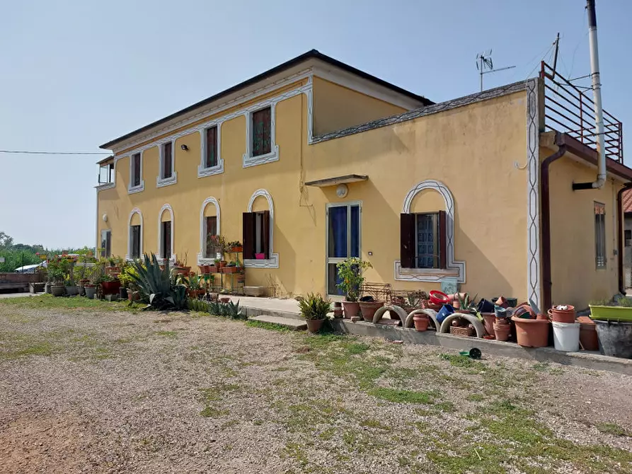 Immagine 3 di Casa indipendente in vendita  a Badia Polesine