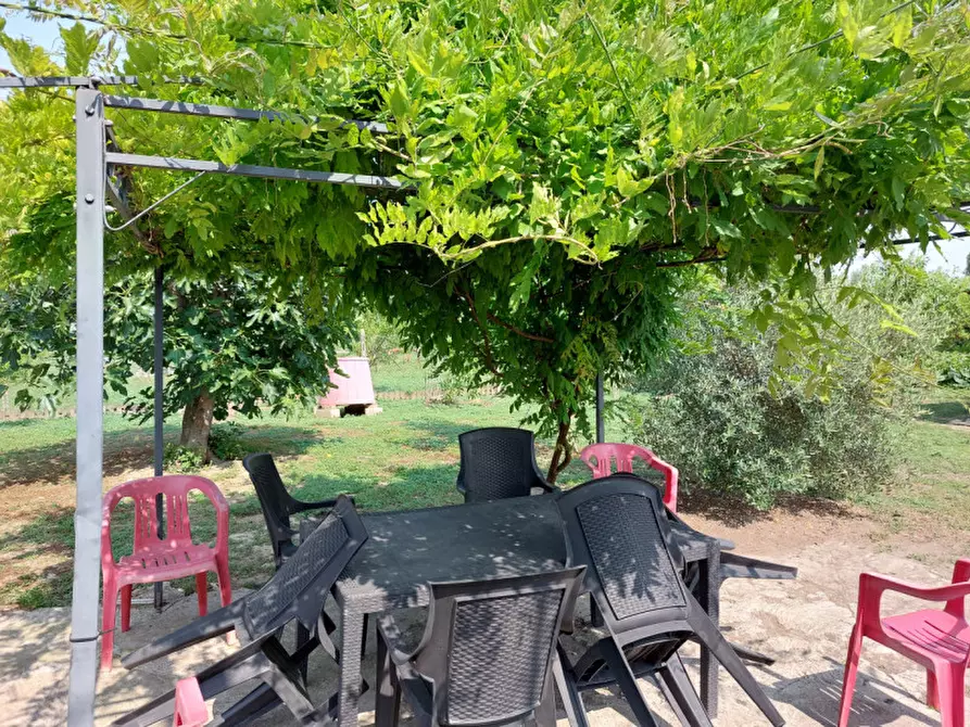 Immagine 6 di Casa indipendente in vendita  a Badia Polesine