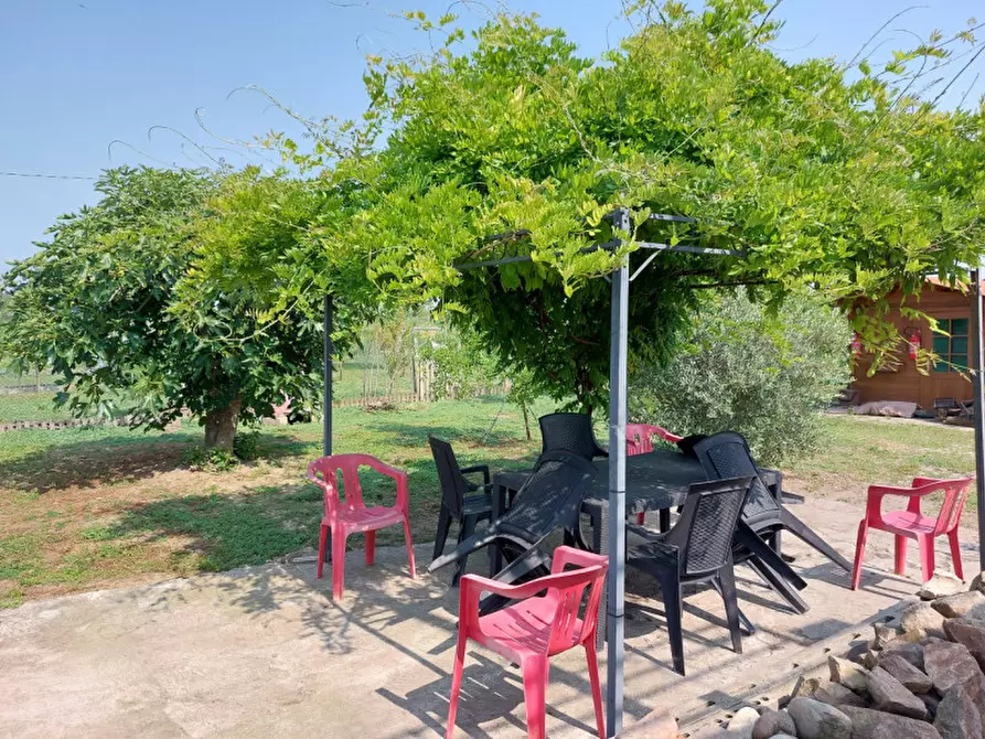 Immagine 7 di Casa indipendente in vendita  a Badia Polesine