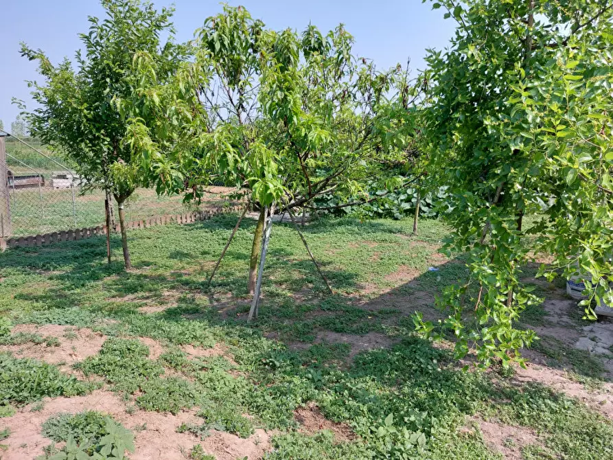 Immagine 8 di Casa indipendente in vendita  a Badia Polesine
