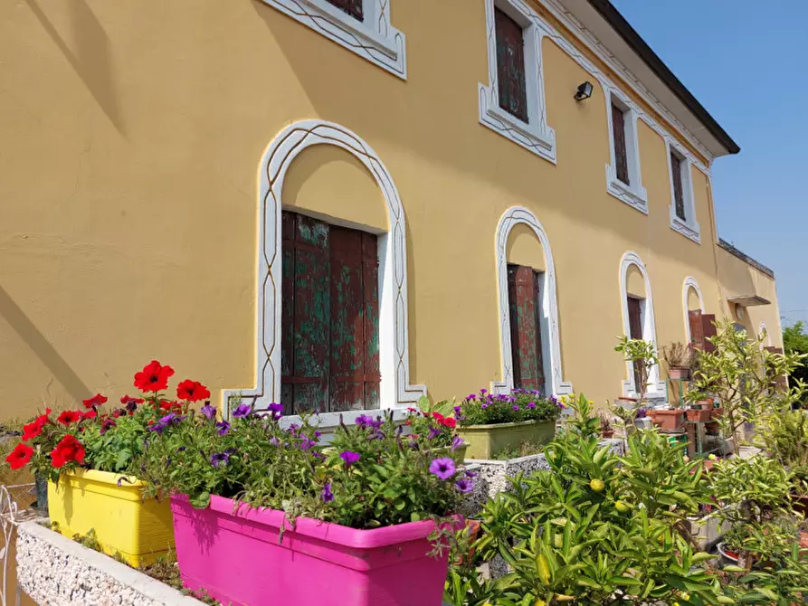 Immagine 10 di Casa indipendente in vendita  a Badia Polesine