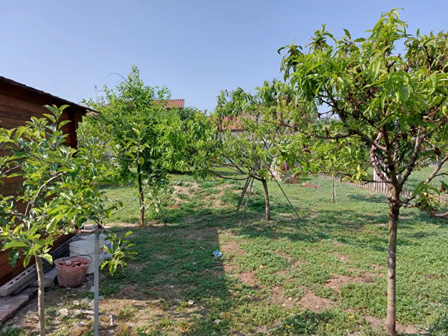 Immagine 20 di Casa indipendente in vendita  a Badia Polesine