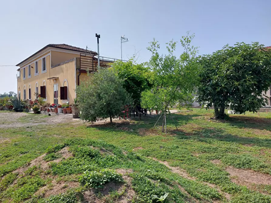 Immagine 21 di Casa indipendente in vendita  a Badia Polesine