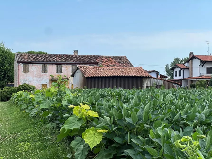 Immagine 2 di Terreno in vendita  in Via Castellaro Alto a Fosso'