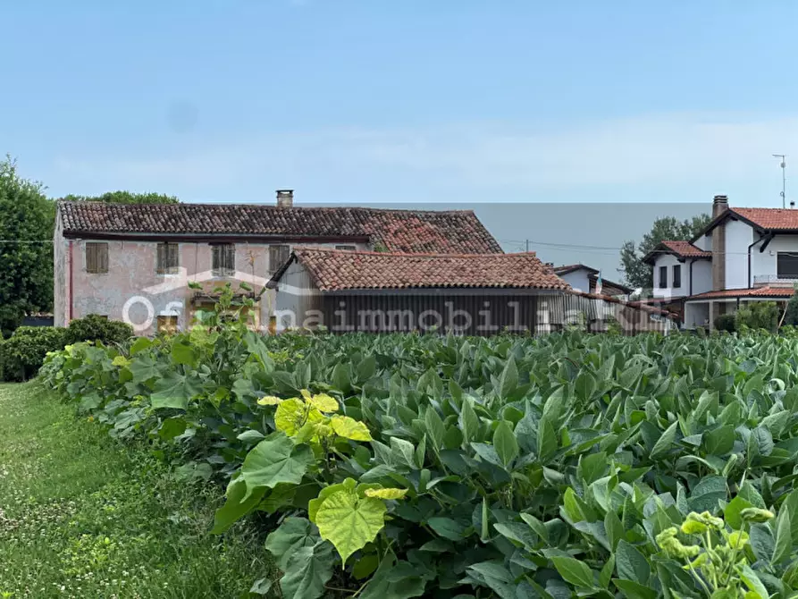 Immagine 2 di Terreno in vendita  in Via Castellaro Alto a Fosso'