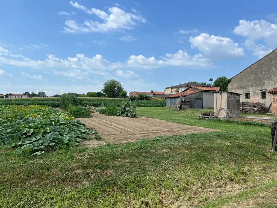 Immagine 4 di Terreno in vendita  in Via Castellaro Alto a Fosso'