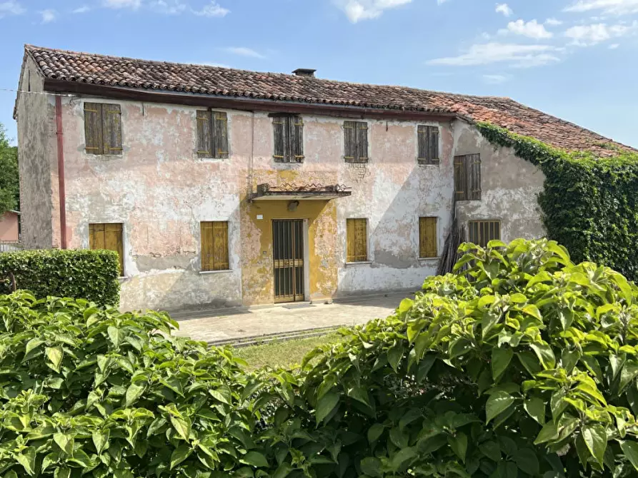 Immagine 4 di Terreno in vendita  in Via Castellaro Alto a Fosso'