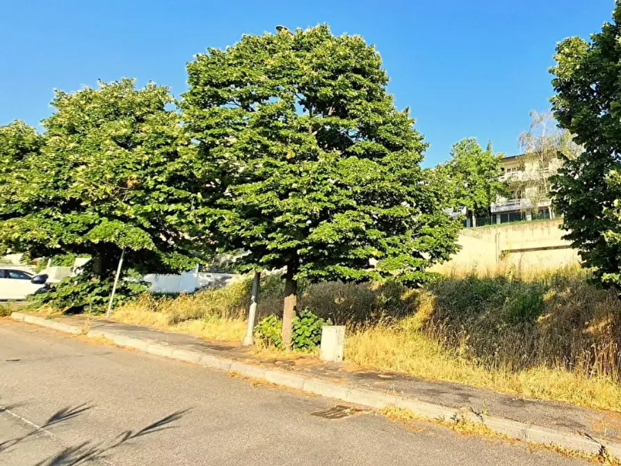 Immagine 3 di Terreno in vendita  in Via Emilio Alessandrini, 47032 Bertinoro FC, Italia a Bertinoro