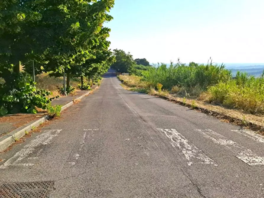 Immagine 10 di Terreno in vendita  in Via Emilio Alessandrini, 47032 Bertinoro FC, Italia a Bertinoro