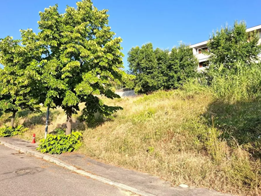 Immagine 3 di Terreno in vendita  in Via Emilio Alessandrini, 47032 Bertinoro FC, Italia a Bertinoro