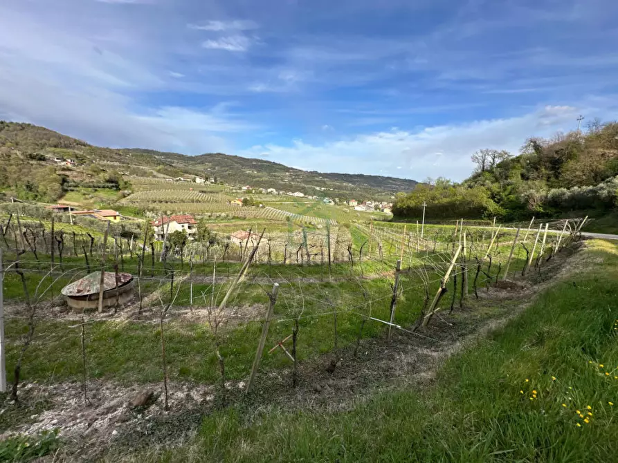 Immagine 2 di Terreno in vendita  in via santa maria a Roncà