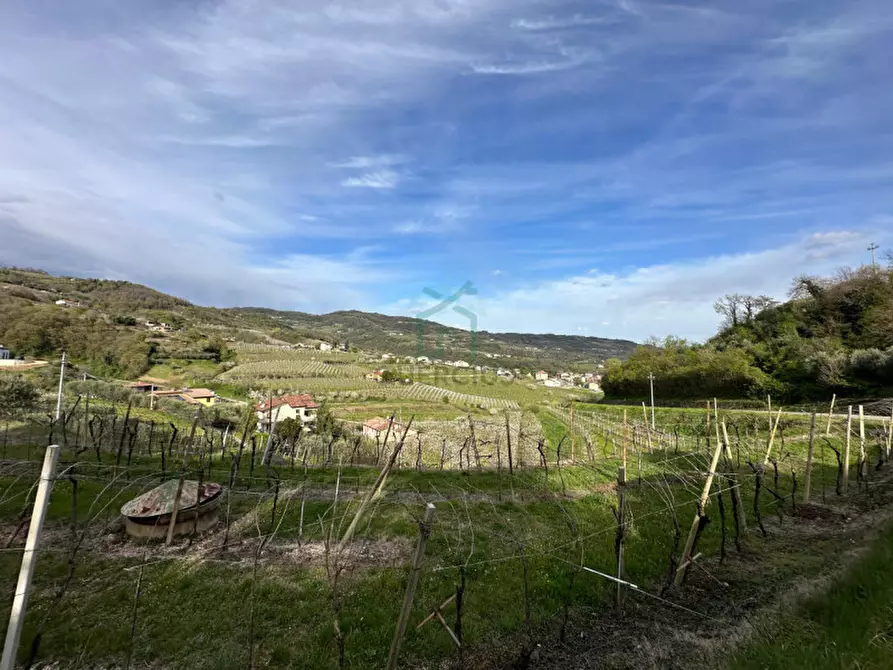 Immagine 3 di Terreno in vendita  in via santa maria a Roncà