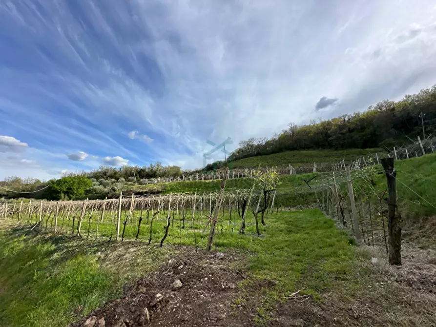 Immagine 4 di Terreno in vendita  in via santa maria a Roncà