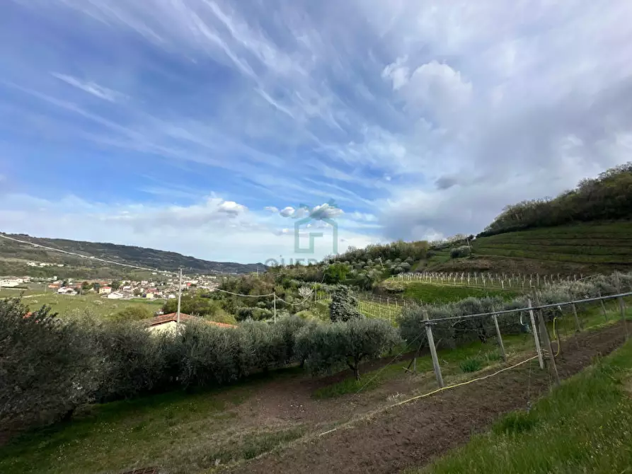Immagine 6 di Terreno in vendita  in via santa maria a Roncà