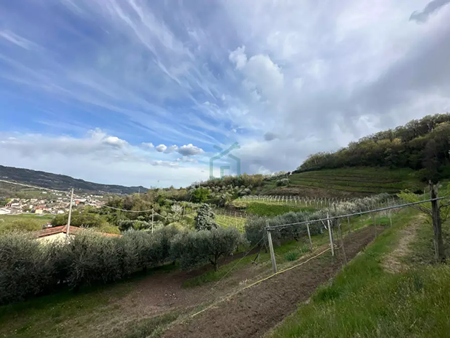 Immagine 8 di Terreno in vendita  in via santa maria a Roncà