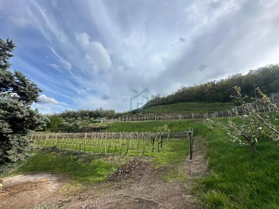 Immagine 9 di Terreno in vendita  in via santa maria a Roncà