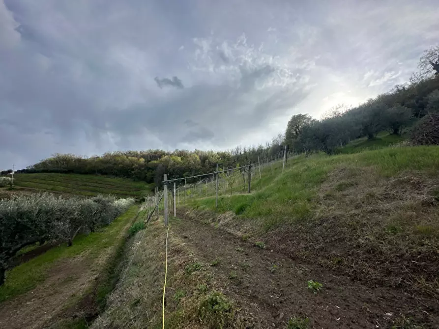 Immagine 10 di Terreno in vendita  in via santa maria a Roncà