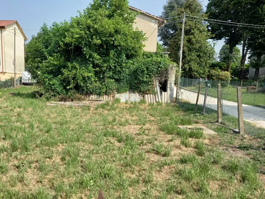 Immagine 2 di Terreno in vendita  a Dolo