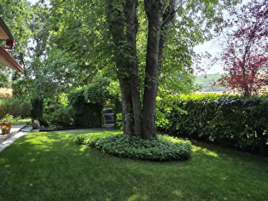 Immagine 41 di Casa bifamiliare in vendita  in Via Loreta a Bertinoro