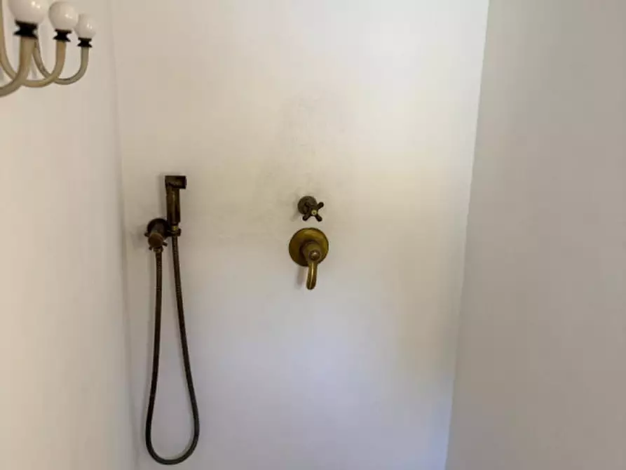 Immagine 51 di Rustico / casale in vendita  in SPEXSS581 a Ceglie Messapico