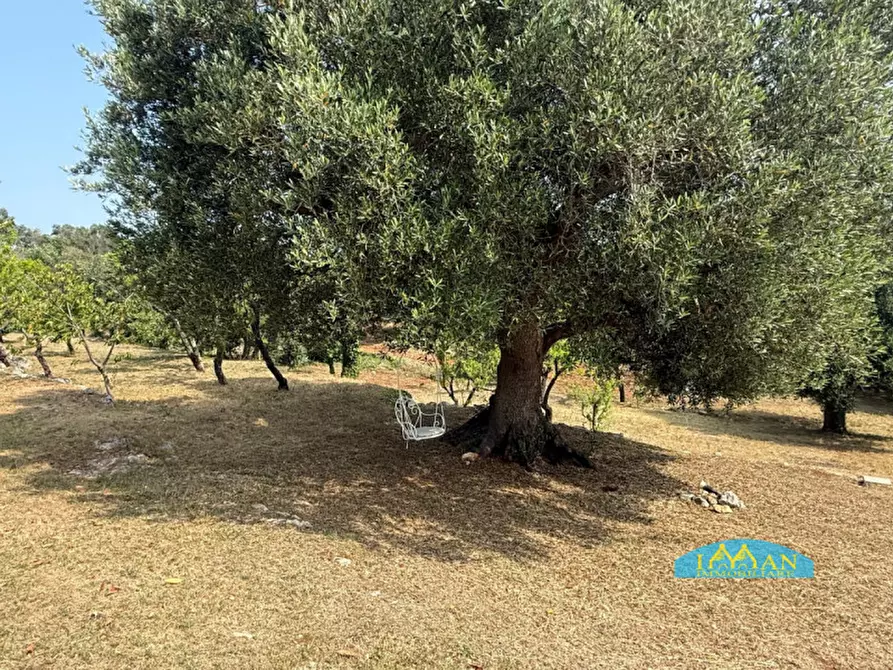 Immagine 55 di Rustico / casale in vendita  in SPEXSS581 a Ceglie Messapico