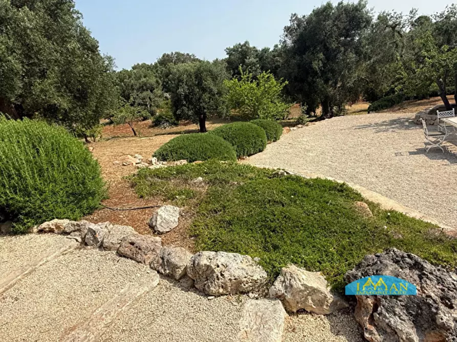 Immagine 56 di Rustico / casale in vendita  in SPEXSS581 a Ceglie Messapico