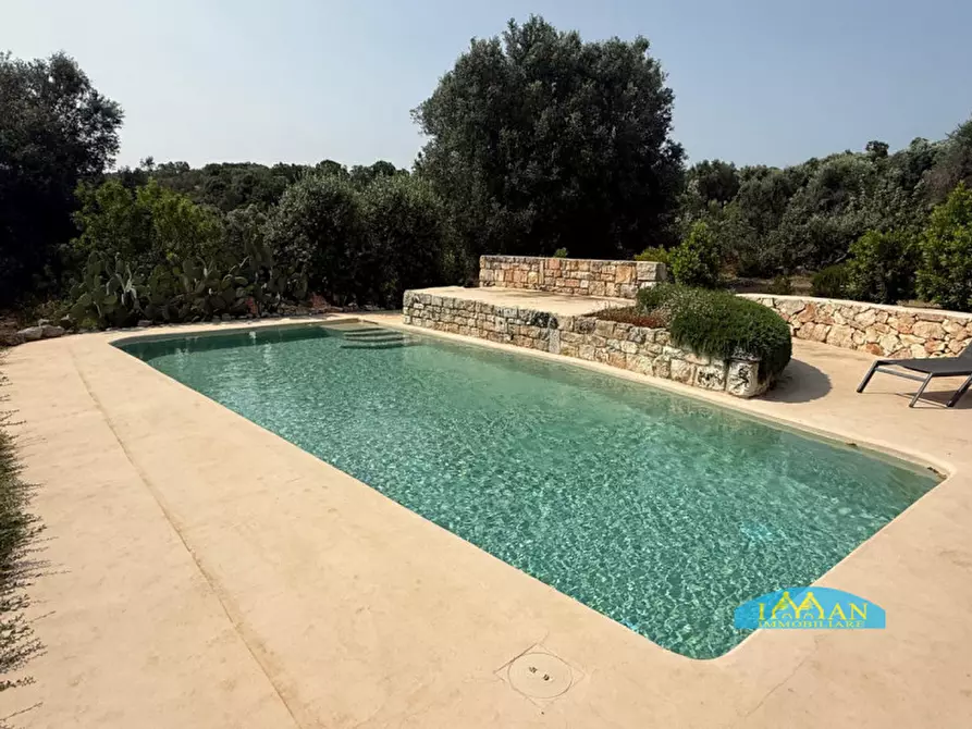 Immagine 61 di Rustico / casale in vendita  in SPEXSS581 a Ceglie Messapico