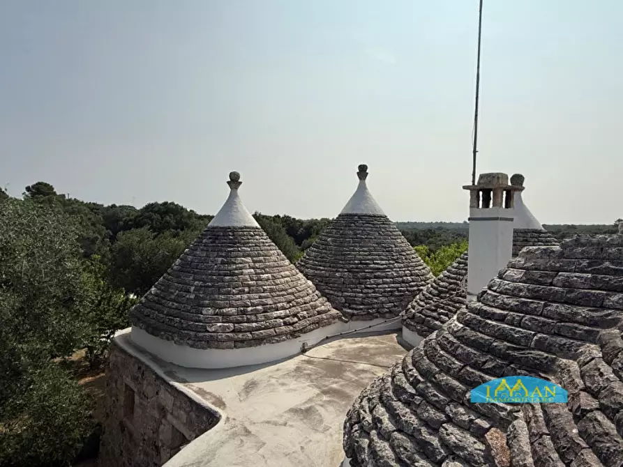 Immagine 66 di Rustico / casale in vendita  in SPEXSS581 a Ceglie Messapico