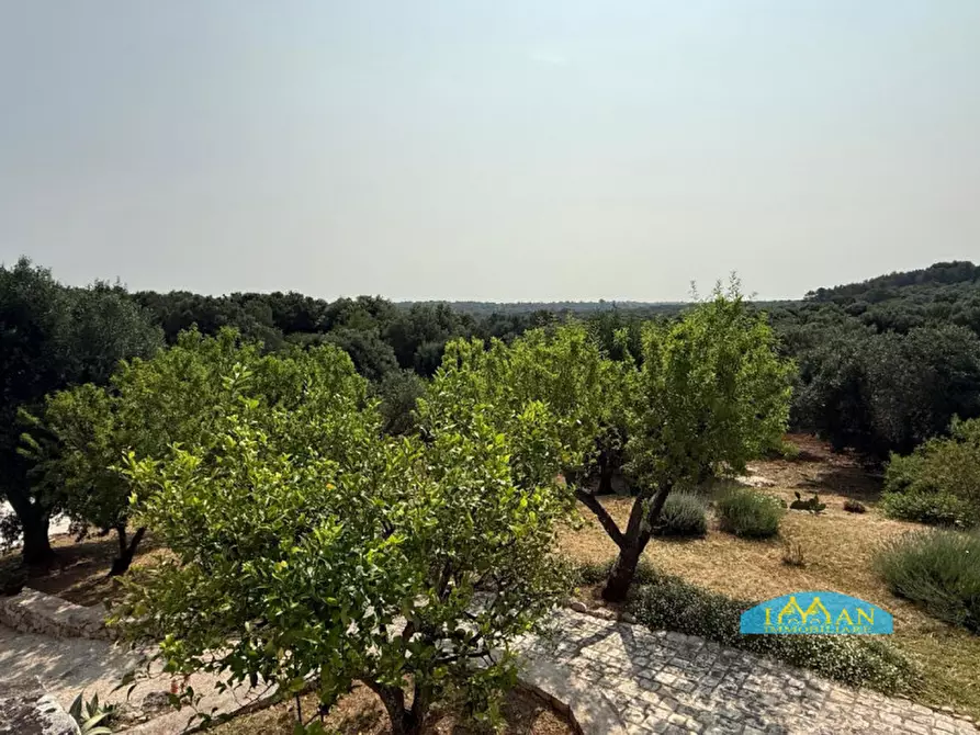 Immagine 68 di Rustico / casale in vendita  in SPEXSS581 a Ceglie Messapico