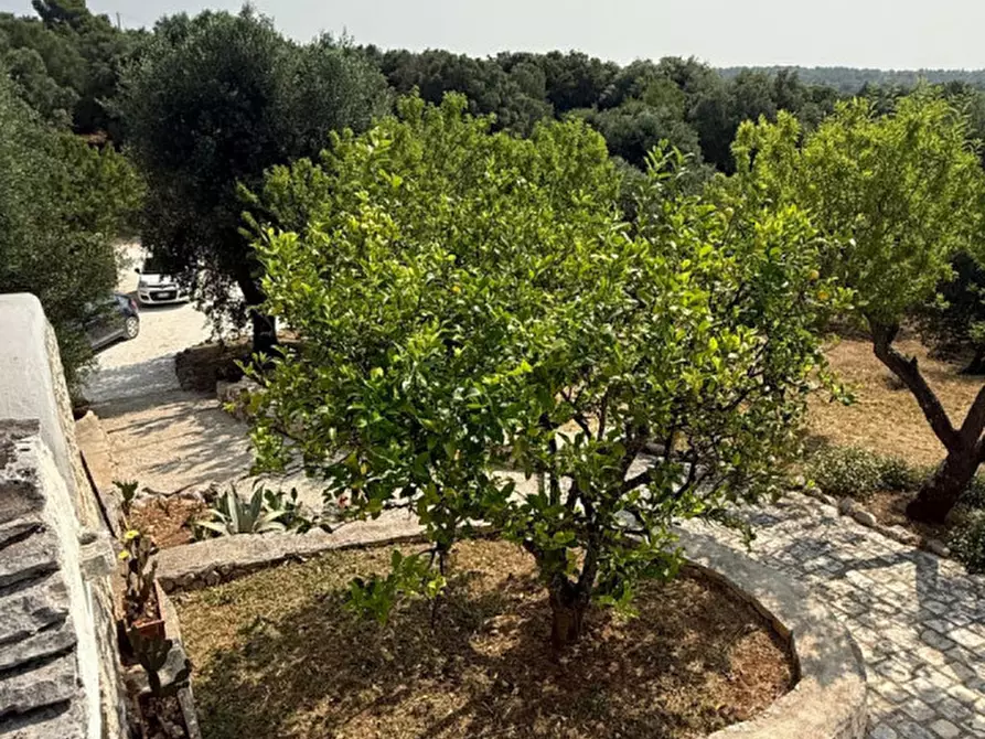 Immagine 69 di Rustico / casale in vendita  in SPEXSS581 a Ceglie Messapico