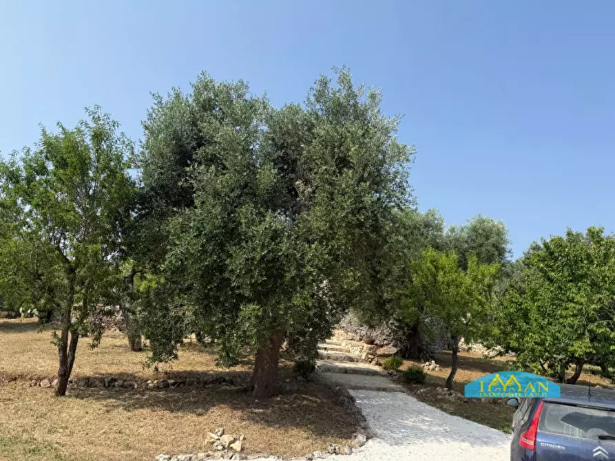 Immagine 72 di Rustico / casale in vendita  in SPEXSS581 a Ceglie Messapico
