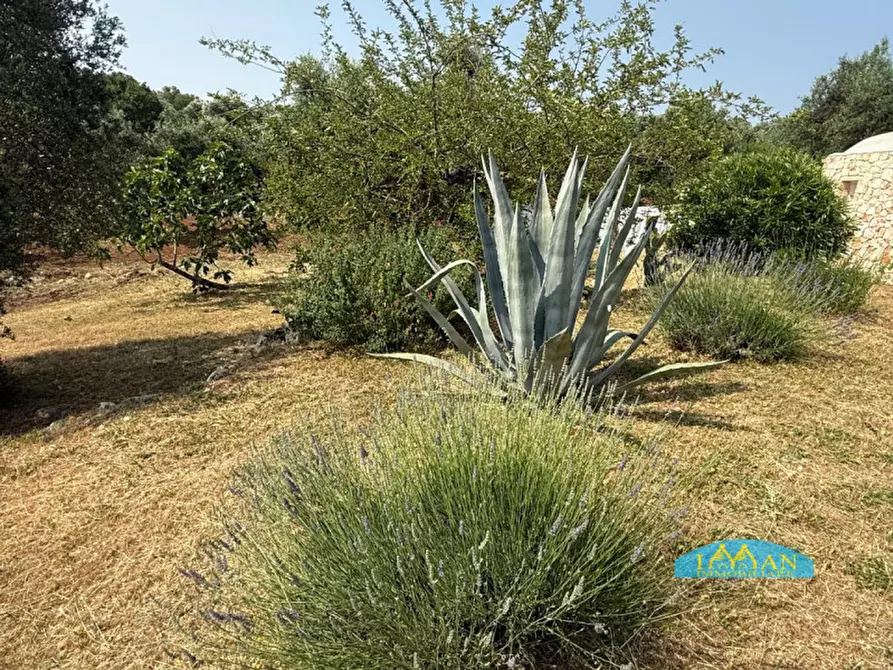 Immagine 79 di Rustico / casale in vendita  in SPEXSS581 a Ceglie Messapico