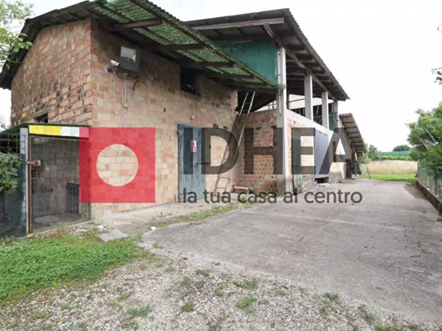 Immagine 7 di Rustico / casale in vendita  in Via Malombra a Mogliano Veneto