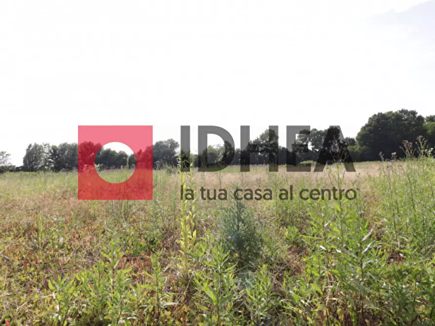 Immagine 10 di Rustico / casale in vendita  in Via Malombra a Mogliano Veneto