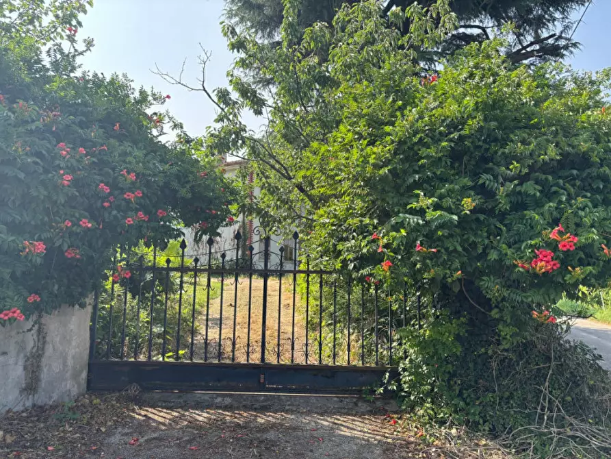 Immagine 11 di Casa indipendente in vendita  in VIA MONTEVENDA N. 14 a Vo