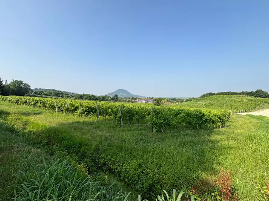 Immagine 13 di Casa indipendente in vendita  in VIA MONTEVENDA N. 14 a Vo