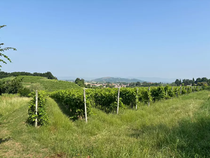 Immagine 14 di Casa indipendente in vendita  in VIA MONTEVENDA N. 14 a Vo