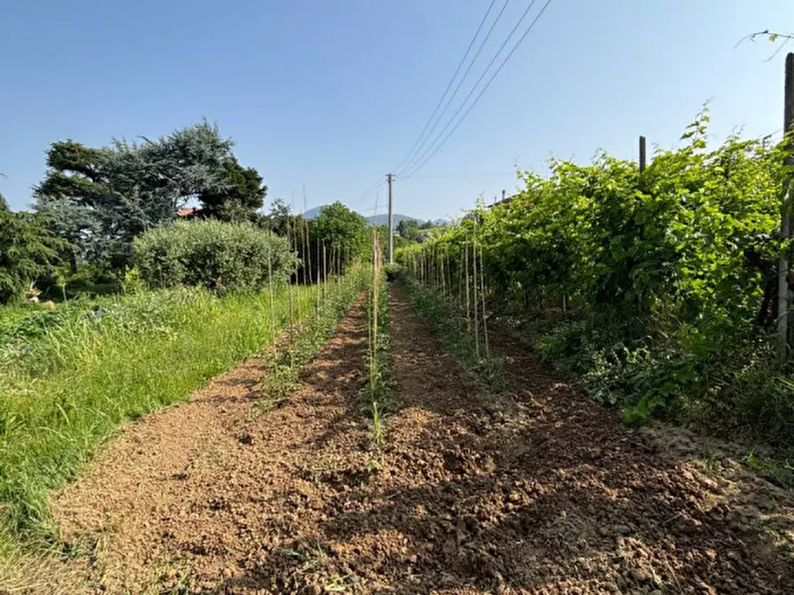 Immagine 18 di Casa indipendente in vendita  in VIA MONTEVENDA N. 14 a Vo