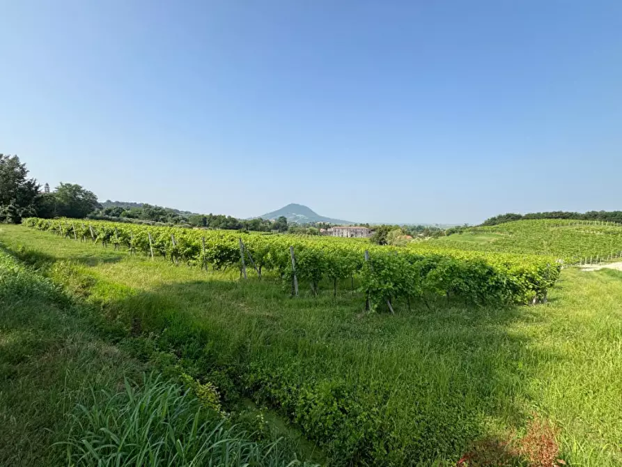 Immagine 20 di Casa indipendente in vendita  in VIA MONTEVENDA N. 14 a Vo