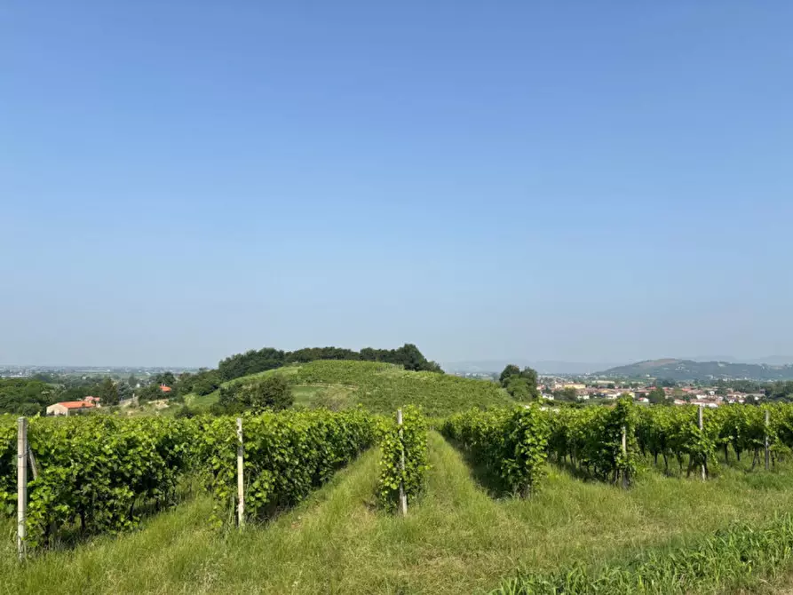 Immagine 21 di Casa indipendente in vendita  in VIA MONTEVENDA N. 14 a Vo