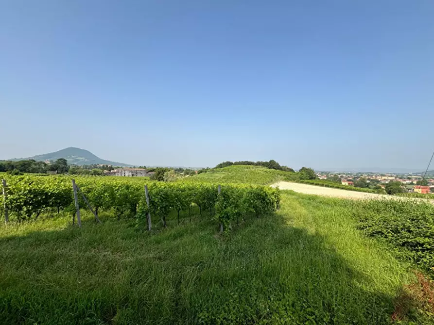 Immagine 22 di Casa indipendente in vendita  in VIA MONTEVENDA N. 14 a Vo