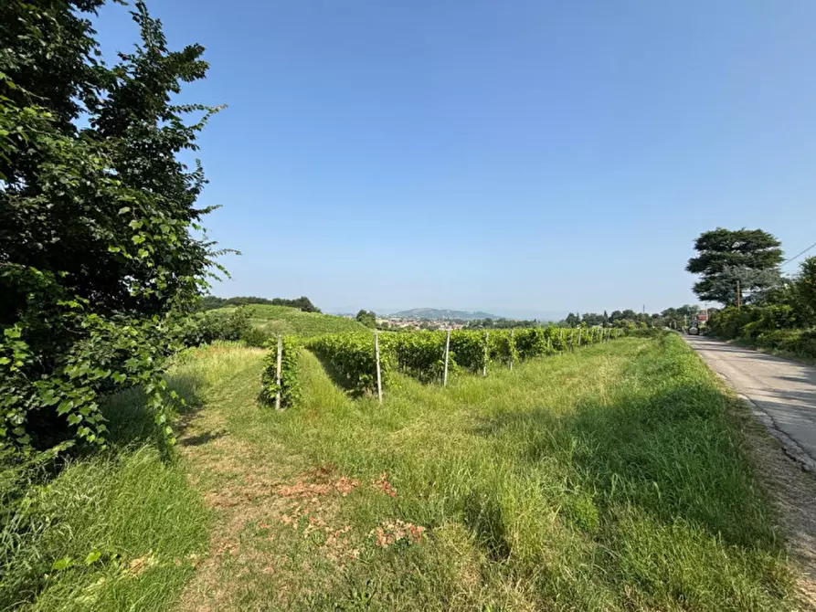 Immagine 23 di Casa indipendente in vendita  in VIA MONTEVENDA N. 14 a Vo