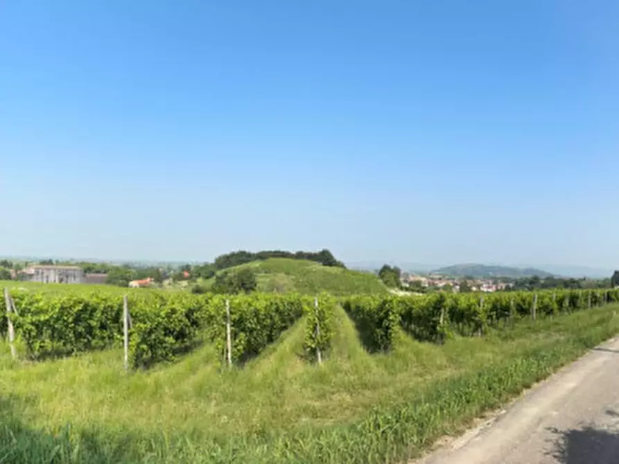 Immagine 24 di Casa indipendente in vendita  in VIA MONTEVENDA N. 14 a Vo