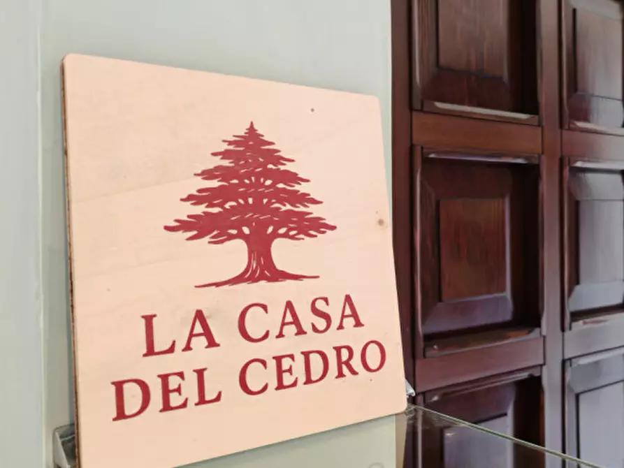 Immagine 7 di Camera in affitto  a Legnaro